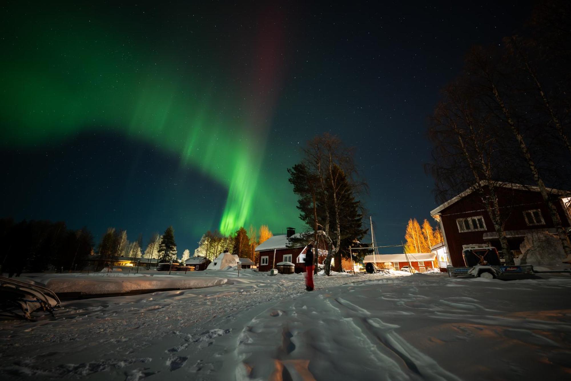 Arctic Guesthouse & Igloos Ranua Exterior photo